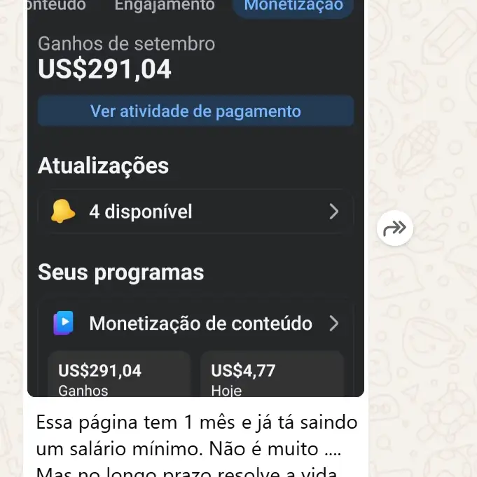 US$291,04 em setembro · 1 mês de página